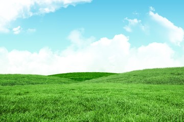Obraz premium A green Field and sky