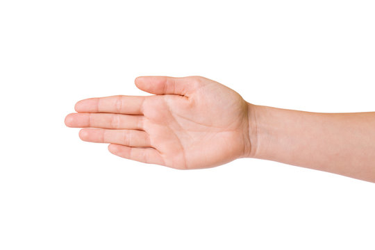 Female hands over white background