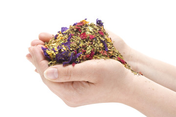 Female Hands Holding a Pile of Herbs