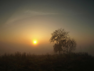 autumn foggy sunrise