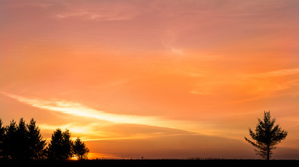 Fototapeta na wymiar Evening sunset on the field