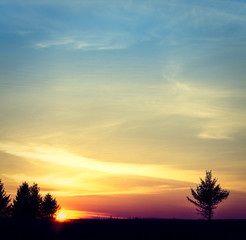 Fototapeta na wymiar Evening sunset on the field