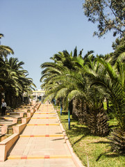 Obraz premium végétation maroc