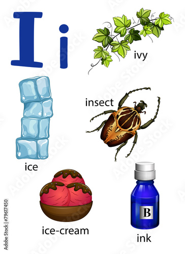 "Things that start with the letter I" Stock image and royalty-free