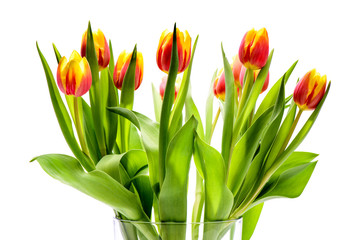 Ostern mit Tulpen und Blumenstrauß