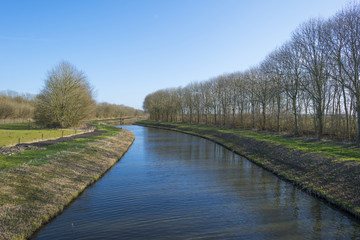 Trees along the shore of a canal in winter