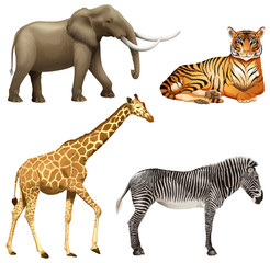 Four African animals