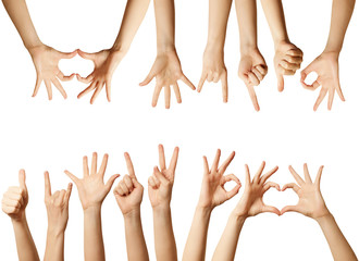 human hands isolated