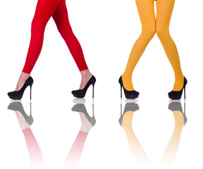 Woman legs isolated on the white background