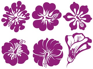 Hibiscus silhouettes vector set