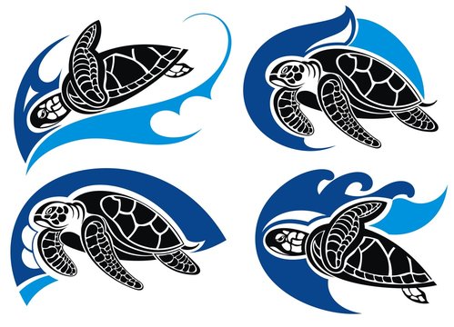 Sea turtle .Summer symbols
