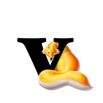 v di volpe