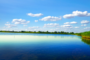 Picturesque forest and the river