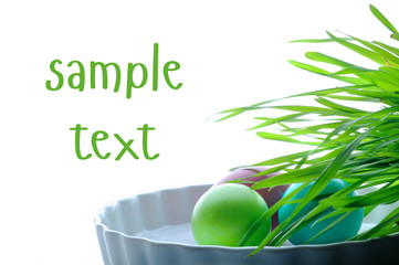 easter color eggs on white with place for sample text
