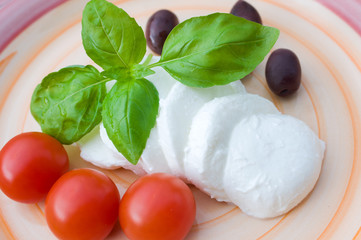 Vegatarian food with mozzarella