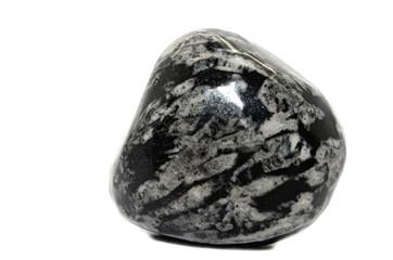 Chrysanthemum Stone - Flower Stone © stellar