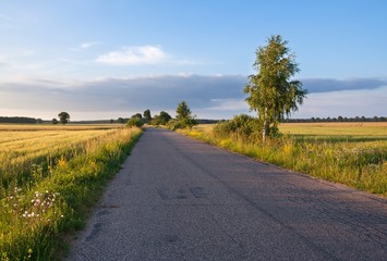 Village road