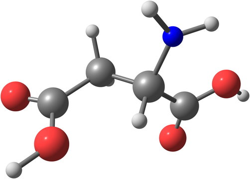 Aspartic acid molecule isolated on white