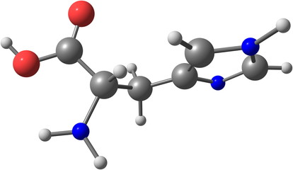 Histidine acid molecule isolated on white