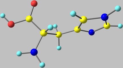 Histidine acid molecule isolated on grey