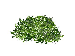 Japanese Chuka Wakame Seaweed Salad on White