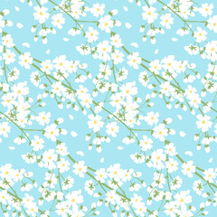 white spring tree flowers