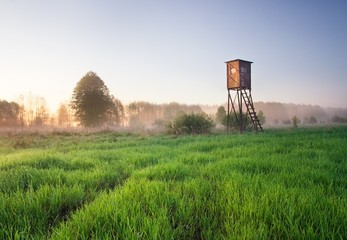 Raised hide on foggy meadow