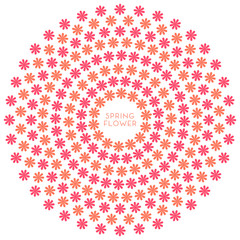 Spring flowers background.