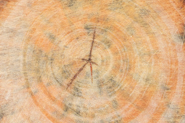 Naklejka premium Wood texture with scratch background