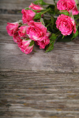 Bouquet of pink roses
