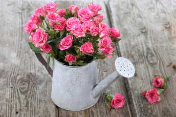 Bouquet of roses in a watering can