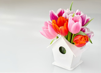 Bunch of tulips in birdshouse vase white background - 79636653