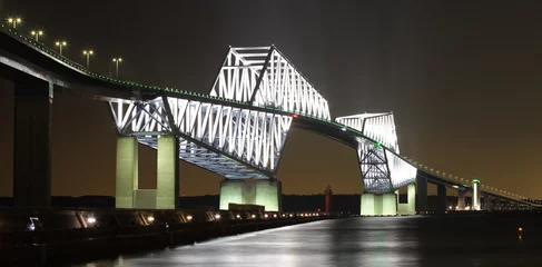 Foto op Aluminium Tokyo bay and Tokyo gate bridge at night time © torsakarin