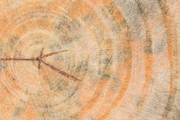 Wood texture with scratch background