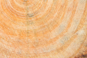 Wood texture with scratch background