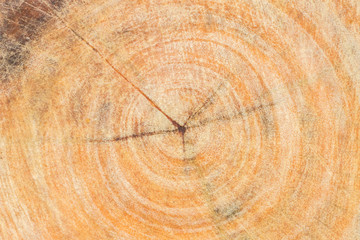 Naklejka premium Wood texture with scratch background