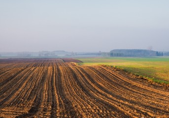 Plowed field and sky