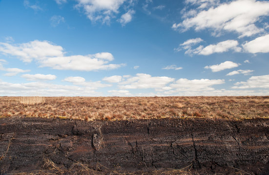 Irish Peat Bog Landscape