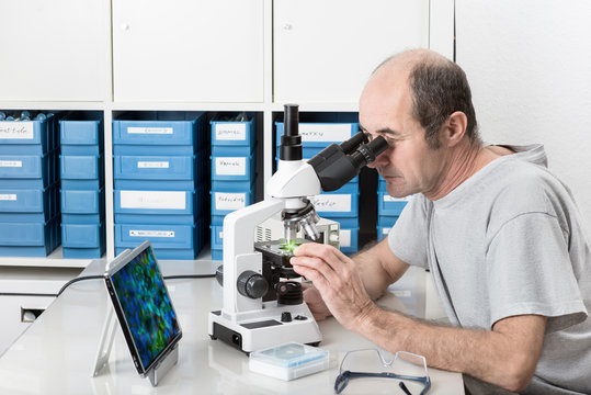 Senior male scientist or tech works in the lab