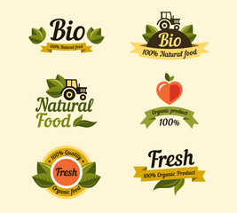 Set of vintage style elements for labels, badges organic food