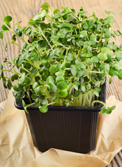 Cress salad on a wooden table.