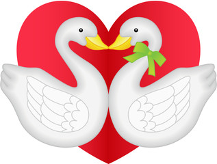 Swan couple in love