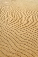 Sand Background
