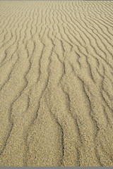 Sand Background