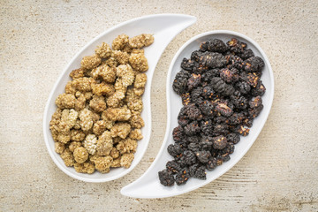 black and white mulberry