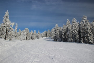 Piste de ski à Autrans