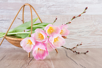 Spring tulips in the basket