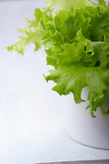 Lettuce leaves