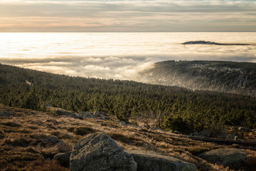Hochnebel am Wurmberg - Harz