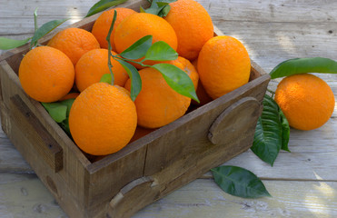 Oranges in  the box.